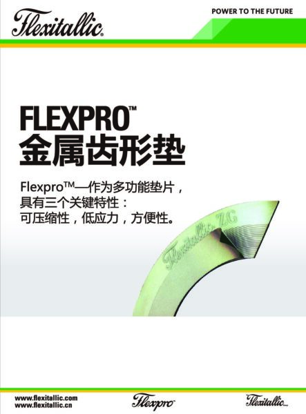 Flexical Plus User Handbook.pdf 手册 – Flexitallic China